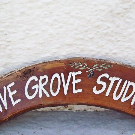 Olive Grove Studios Megali Ammos  Esterno foto