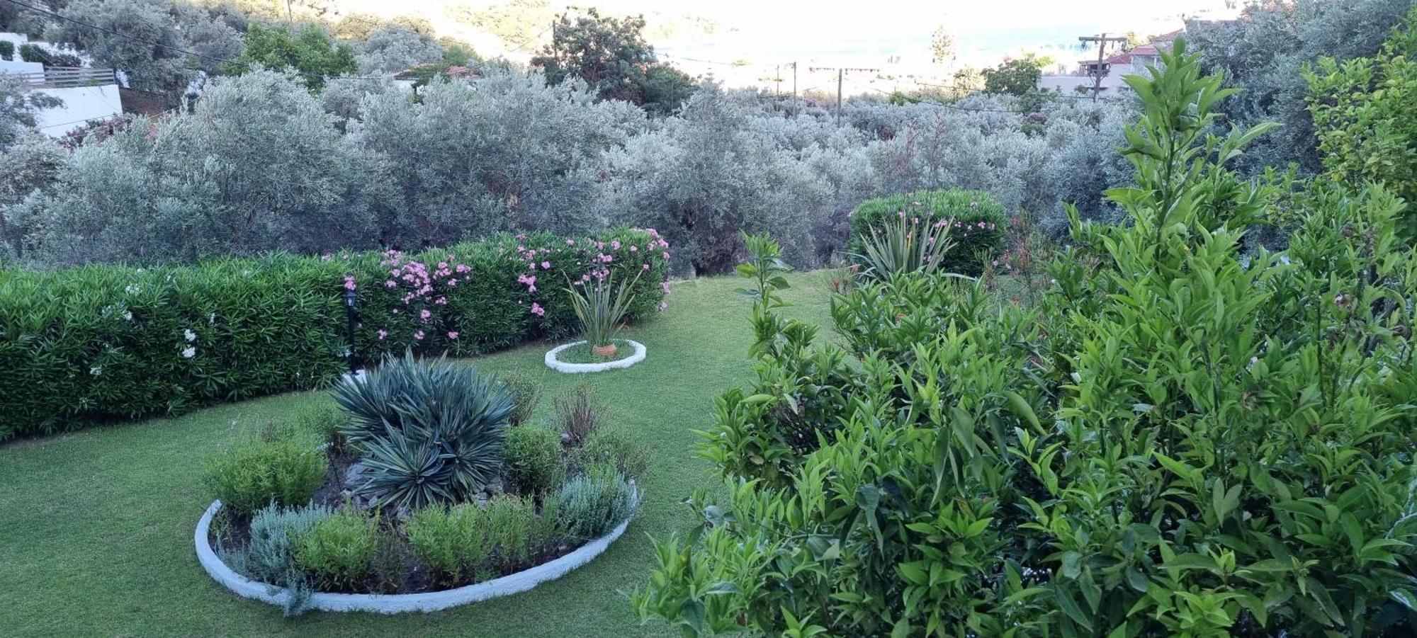 Olive Grove Studios Megali Ammos  Esterno foto